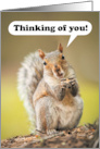 Thinking of You at Summer Camp Cute Talking Squirrel card