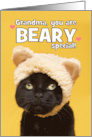 Happy Grandparents Day Grandma Cat in Bear Hat Humor card