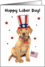 Happy Labor Day Patriotic Red Fox Labrador Puppy Humor card