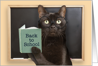 Back to School Cat Reading Book Humor card