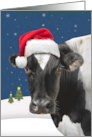 Merry Christmas For Anyone Cow Humor card
