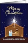 For Great Nephew Merry Christmas Nativity Scene Illustration card