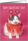 Happy Valentine’s Day For Anyone Warm and Fuzzy Cat in Costume Humor card