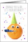 Happy Birthday For Anyone Funny Orange in party Hat Humor card