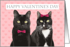 Happy Valentine’s Day For Couple Two Cats Humor card