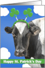 Happy St Patricks Day For Anyone Cow in Shamrock Headband Humor card