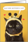 Happy Mother’s Day Cute Cat in Bumble Bee Hat Humor card
