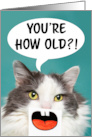 Happy Birthday For Anyone Funny Cat With Silly Mouth Getting Old Humor card