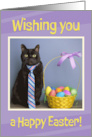 Happy Easter For Anyone Cute Cat in Tie With Easter Basket Humor card