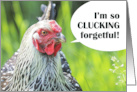 Happy Belated Birthday For Anyone Funny Chicken Humor Photograph card