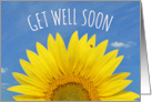 Get Well Soon For Anyone Beautiful Yellow Sunflower Photograph card