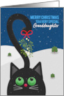 Merry Christmas Granddaughter Cute Cat WIth Mistletoe on Tail card