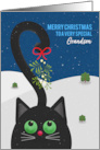 Merry Christmas Grandson Cute Cat WIth Mistletoe on Tail card