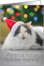 Merry Christmas For Anyone Warm and Fuzzy Cat in Santa hat Under Tree card