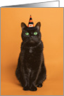 Happy Halloween For Anyone Black Cat in Witch Hat Humor card