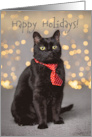 Happy Holidays For Anyone Cute Black Cat in Red Tie Humor card