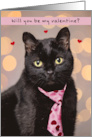 Happy Valentines Day For Anyone Cute Cat in Heart Tie Humor card