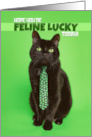 Happy St Patricks Day Funny Cat in Shamrock on Green Humor card