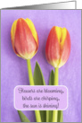 Happy Easter Spring is Here For Anyone Tulips on Purple Photo card