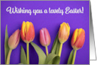 Happy Easter For Anyone Beautiful Tulips on Vibrant Purple Photograph card