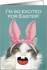 Happy Easter For Anyone Funny Cat With Open Mouth and Bunny Ears Humor card