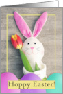 Happy Easter For Anyone Cute Bunny Toy Holding Tulip card