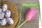 Happy Easter For Anyone Pink Tulip With Nest of Eggs Photograph card