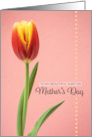 Happy Mothers Day Beautiful Aunt Lovely Tulip on Pink card