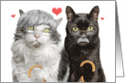 Happy Anniversary Funny Old Cat Couple With Gray Hair and Canes Humor card