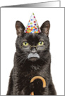 Happy Birthday Old Grumpy Old Man Sourpuss Cat Humor card