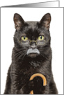 Happy Fathers Day Old Grumpy Old Man Sourpuss Cat Humor card