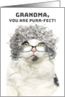 Happy Birthday Grandma Funny Cat With Gray Hair and Glasses Humor card