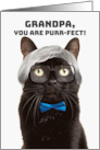 Happy Grandparents Day Grandpa Old Man Cat Humor card