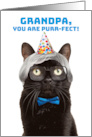 Happy Birthday Grandpa Old Man Cat Humor card