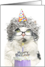 Happy Birthday Funny Old Lady Cat in Party Hat With Cake Humor card