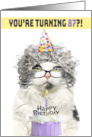 Happy Birthday 87th Funny Old Lady Cat in Party Hat With Cake Humor card