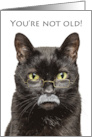 Happy Birthday Older Male Cat in Gray Mustache With Glasses Humor card