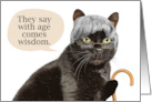 Happy Birthday Older Cat in Gray Wig With Glasses and Cane Humor card