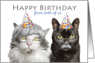 Happy Birthday From Both of Us Old Cats Grandparents Humor card