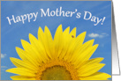Happy Mothers Day Beautiful Sunflower with Ladybug Photograph card