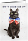 Happy Memorial Day Cute Patriotic Cat in Red White Blue Bow Tie card
