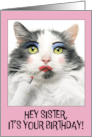 Happy Birthday Sister Funny Cat Putting on Lots of Make Up Humor card