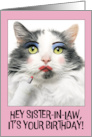 Happy Birthday Sister In Law Funny Cat Putting on Lots of Make Up card