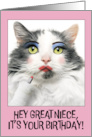 Happy Birthday Great Niece Funny Cat Putting on Lots of Make Up card