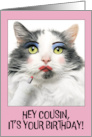 Happy Birthday Cousin Funny Cat Putting on Lots of Make Up card