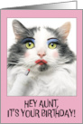 Happy Birthday Aunt Funny Cat Putting on Lots of Make Up card