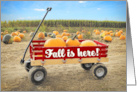 Happy Halloween Fall is Here Pumpkins in a Wagon Photograph card
