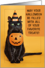 Happy Halloween Funny Black Cat Dressed in Witch Hat With Pumpkin card