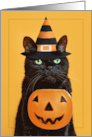 Happy Halloween Funny Black Cat Dressed in Witch Hat With Pumpkin card