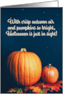 Happy Halloween For Anyone Pumpkins with Fall Leaves Still Life card